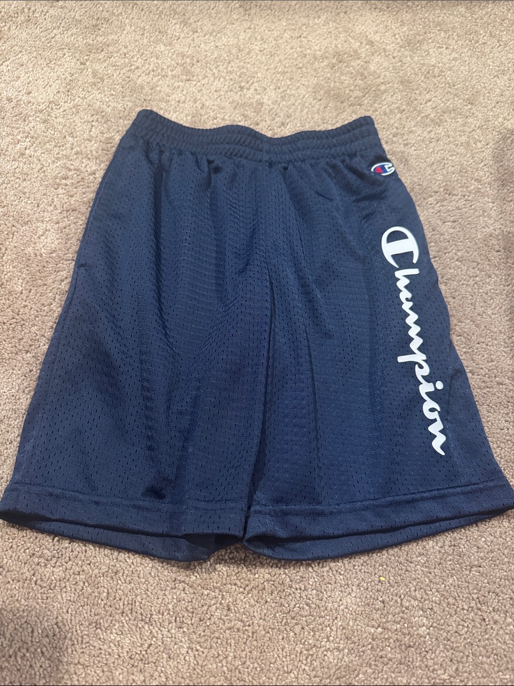 Champion Boys Navy Blue Mesh Athletic Shorts with White Logo